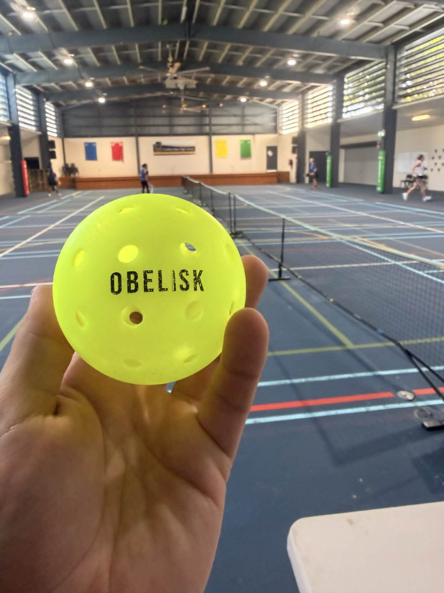 Pickleball held up with courts behind